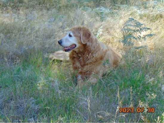 Riley