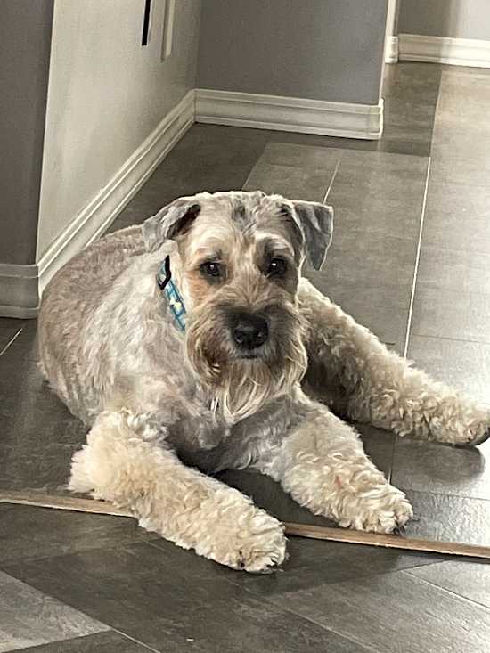 Murphy